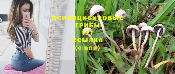 jwh Великий Новгород